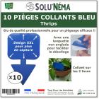 Piège collant bleu à insectes XXL : thrip, mouche du terreau, moucheron pour plante en pot - Lot de 10