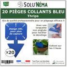 Piège collant bleu à insectes XXL : thrip, mouche du terreau, moucheron pour plante en pot - Lot de 20