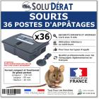 Poste sécurisé pour appât souris, MINIO SOLU