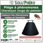 Piège à phéromones contre le charançon rouge du palmier SOLU