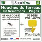 Kit Mouches des terreaux - Nématodes et pièges collants XXL