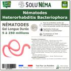 SOLUNEMA - Nématodes Heterorhabditis Bacteriophora (HB)