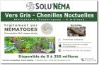 SOLUNEMA - Vers Gris - Nématodes (SC)
