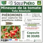 Phéromone pour attirer et capturer le papillon mâle de la Mineuse de la tomate, Tuta absoluta