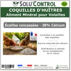Écailles de Coquilles d