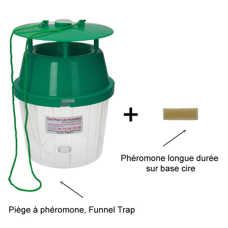 Pi geage Avec Ph romone Pour Le Papillon De La Chenille Processionnaire 