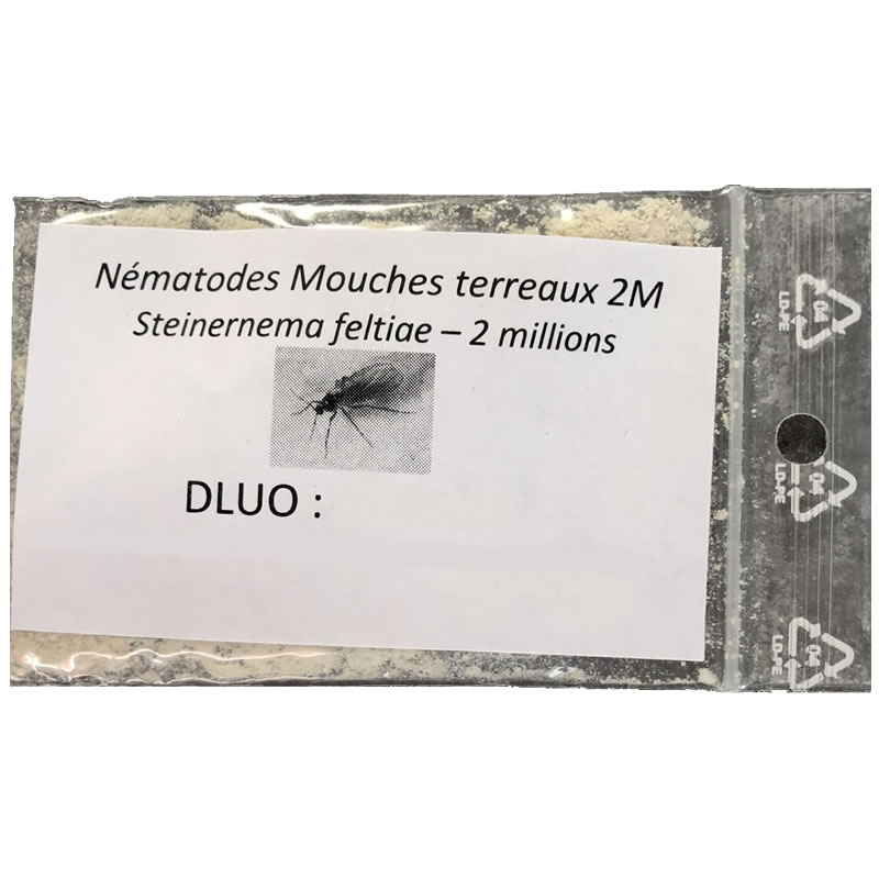 Nématodes Contre les mouches des terreaux 2M