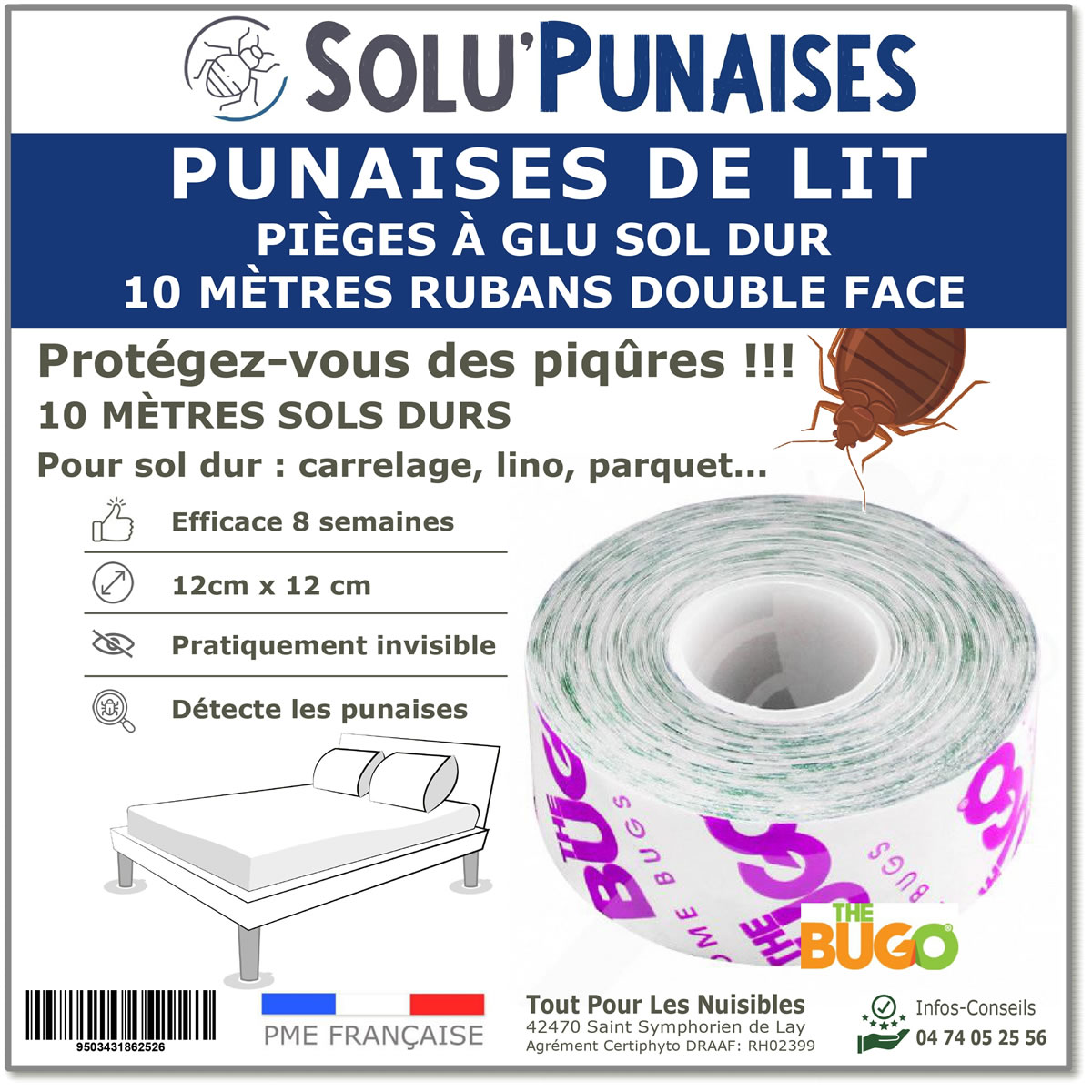 punaise-de-lit