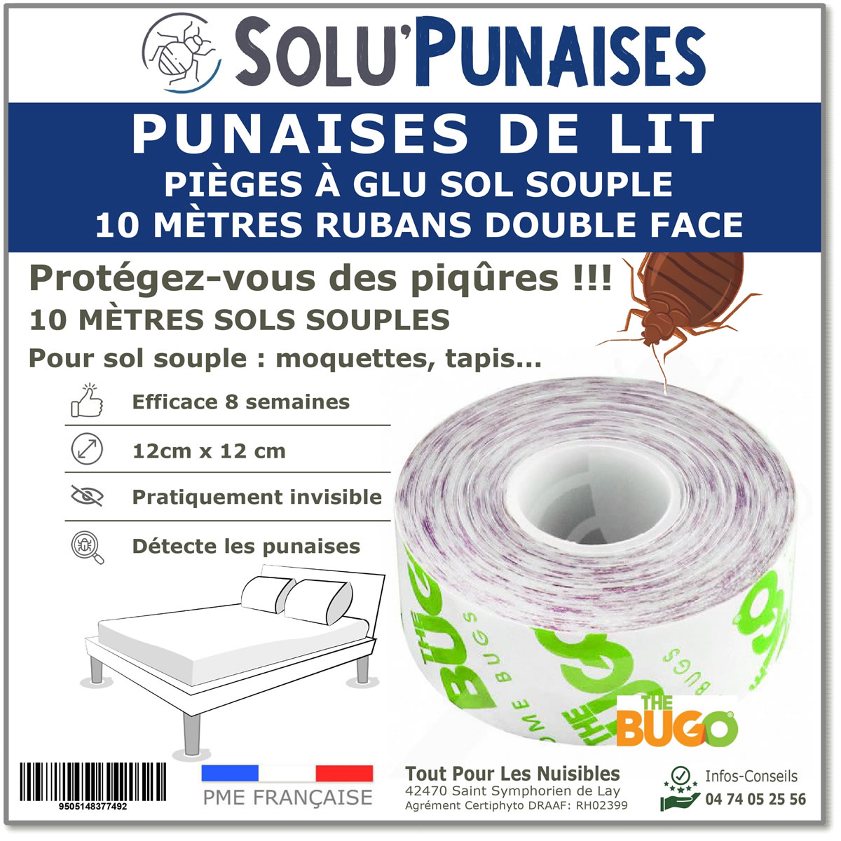 punaise-de-lit