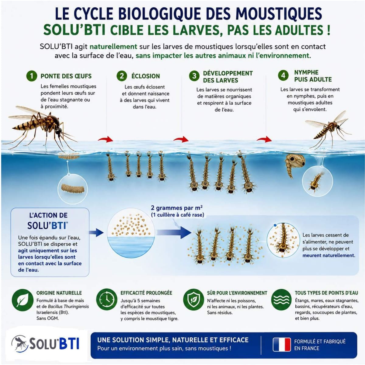 Granulés larvicides anti-moustiques, SOLU
