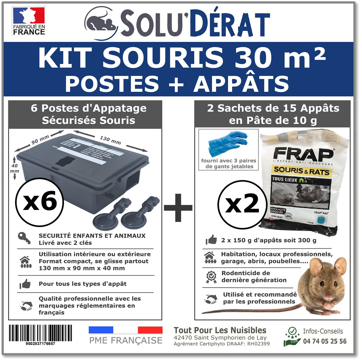 souris-rats-et-autres-rongeurs