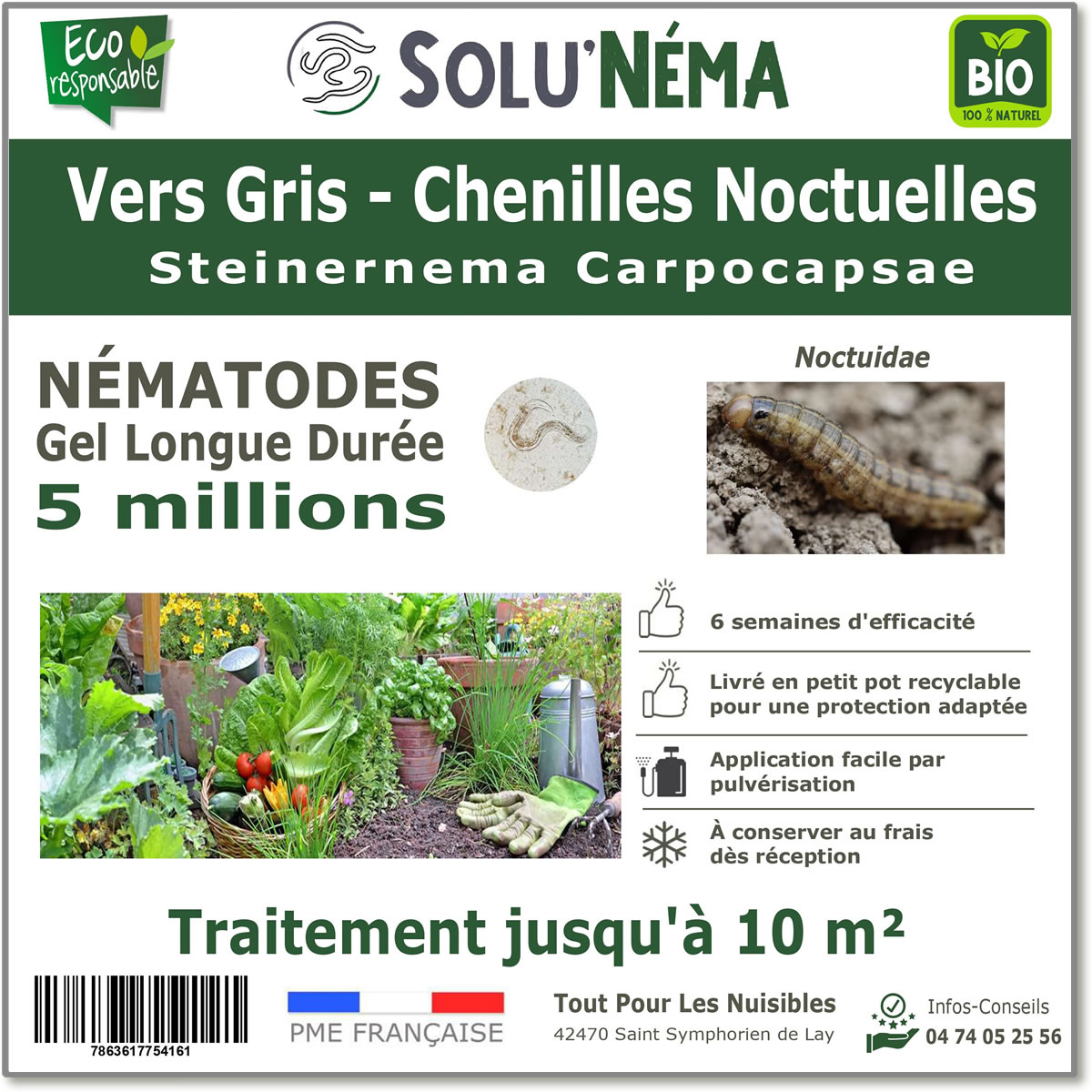 SOLUNEMA - Vers Gris - Nématodes (SC)