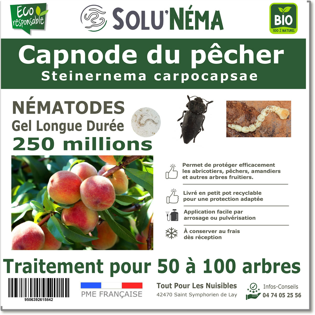 SOLUNEMA - Capnode du pêcher - Nématodes (SC)