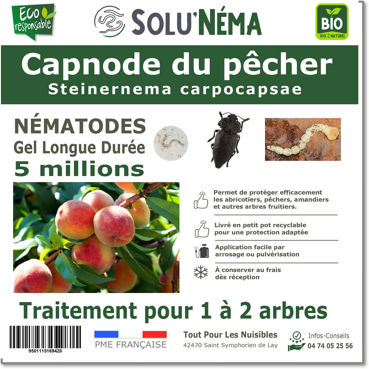 SOLUNEMA - Capnode du pêcher - Nématodes (SC)