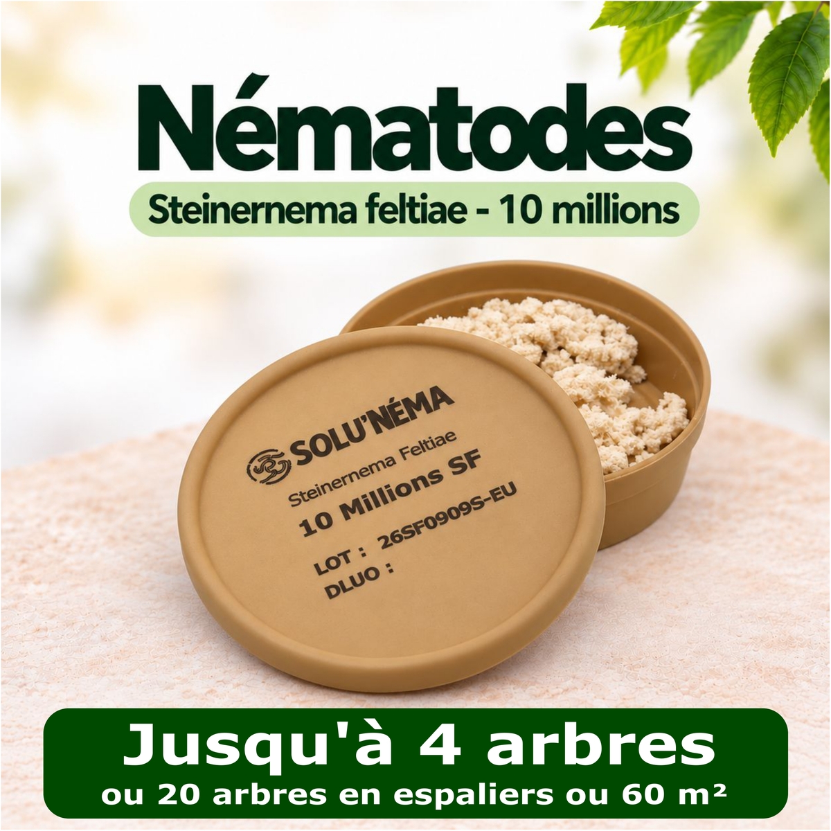 Carpocapse de la pomme, poire et noix - Nématodes Steinernema Carpocapsae (SF)