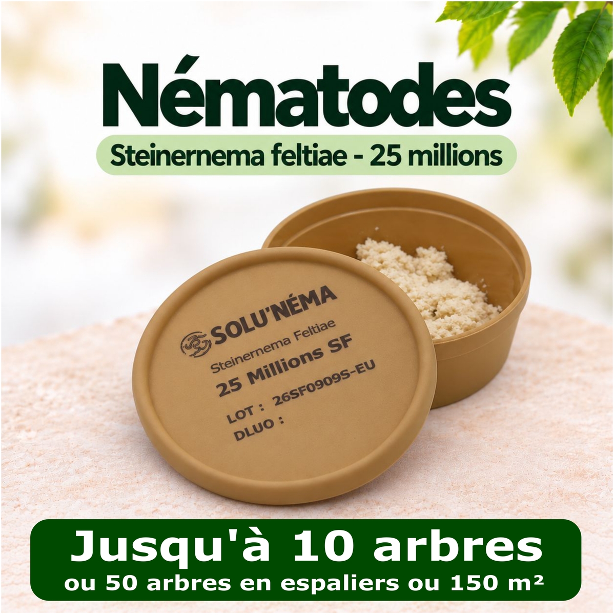 Carpocapse de la pomme, poire et noix - Nématodes Steinernema Carpocapsae (SF)