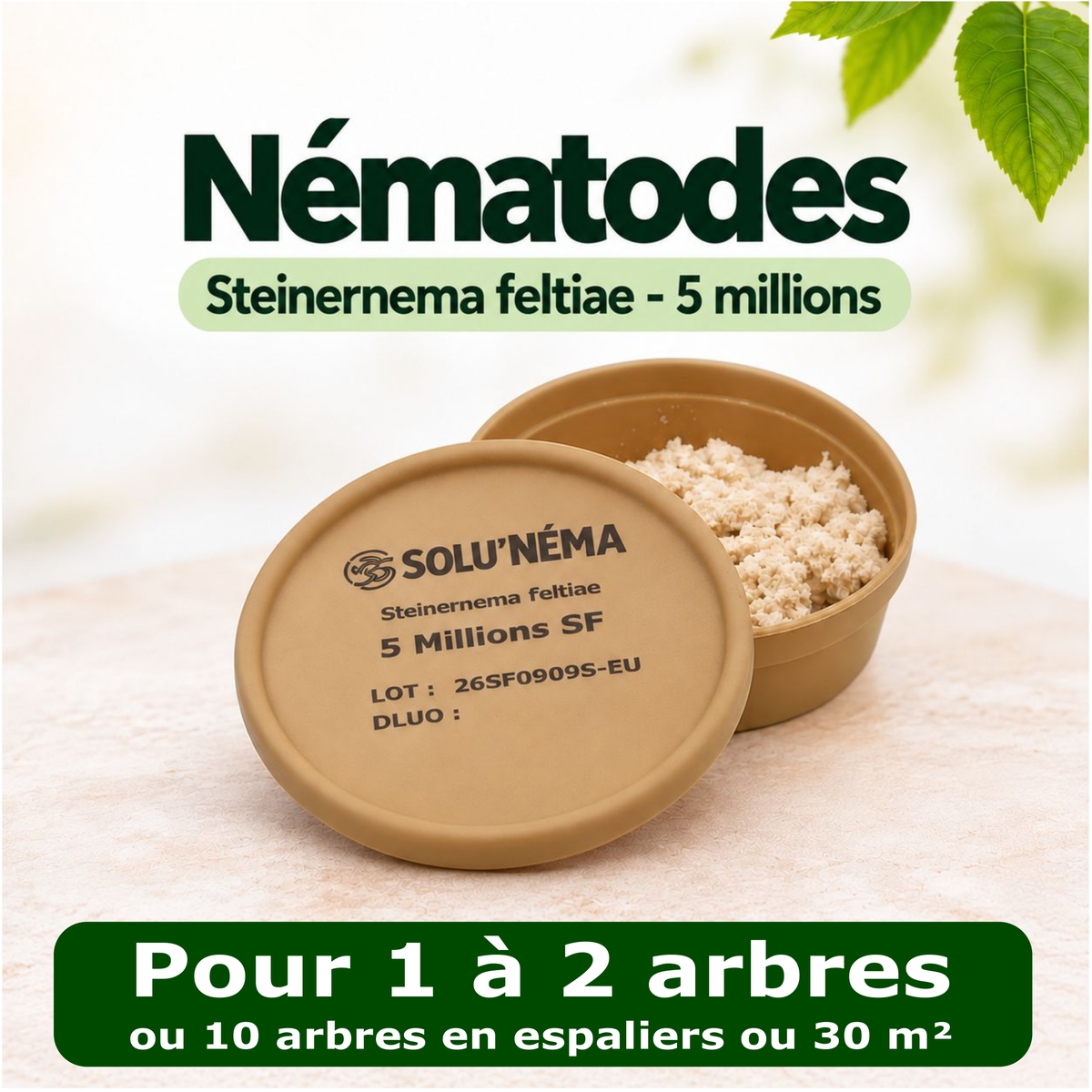 Carpocapse de la pomme, poire et noix - Nématodes Steinernema Carpocapsae (SF)