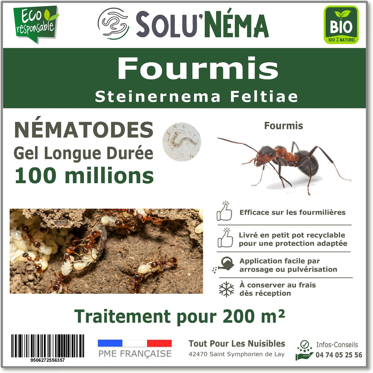SOLUNEMA - Fourmis - Nématodes  (SF)