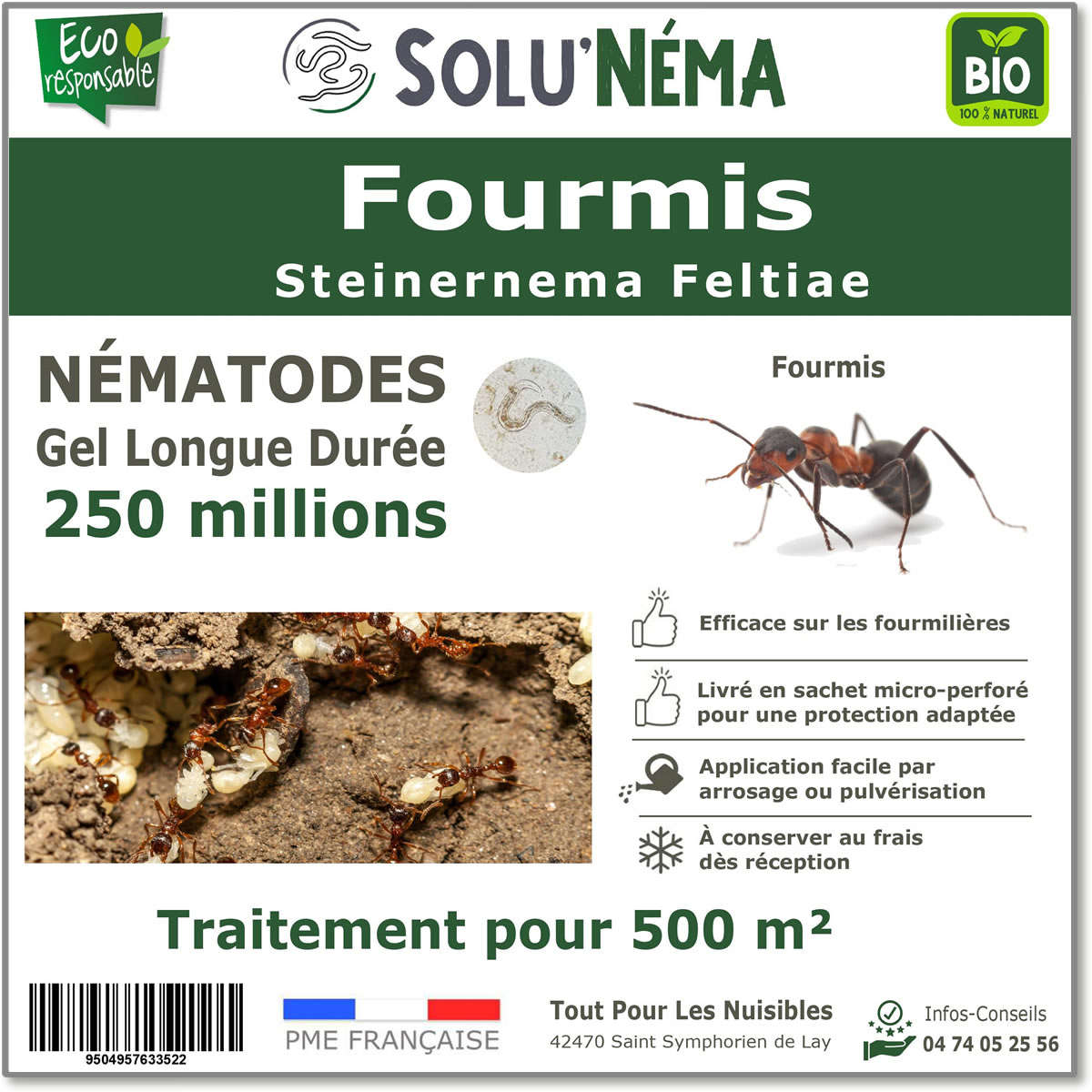 SOLUNEMA - Fourmis - Nématodes  (SF)