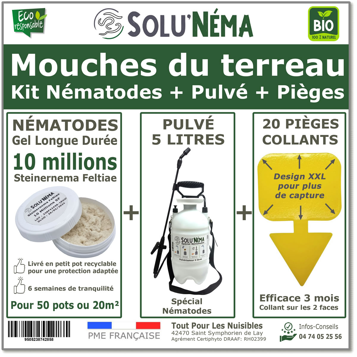 nematodes