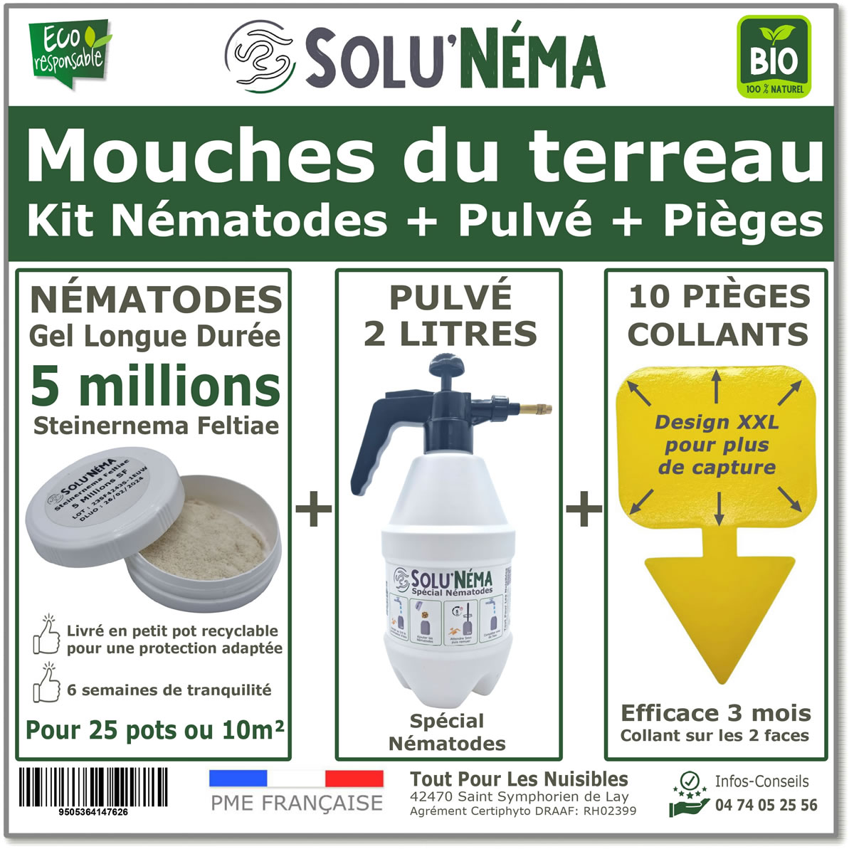 nematodes
