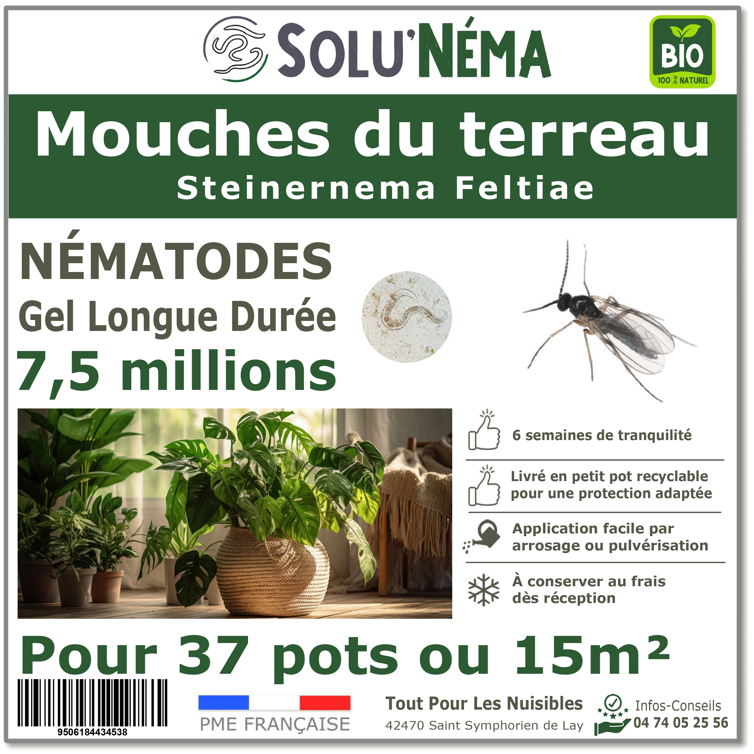 Mouches des terreaux - Nématodes Steinernema Feltiae (SF)