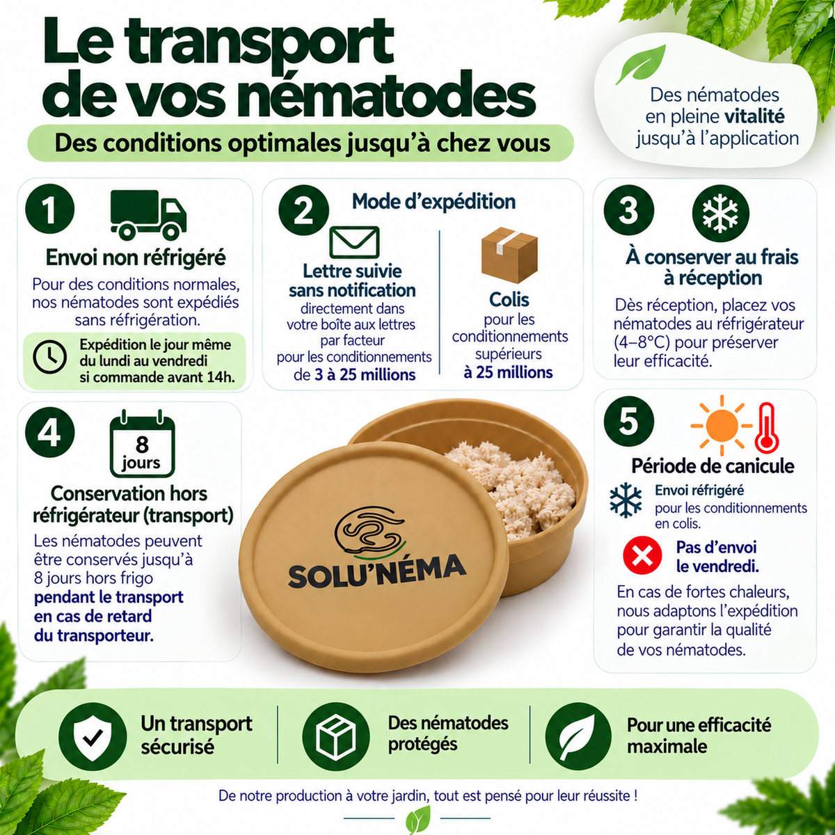 Mouches des terreaux - Nématodes Steinernema Feltiae (SF)