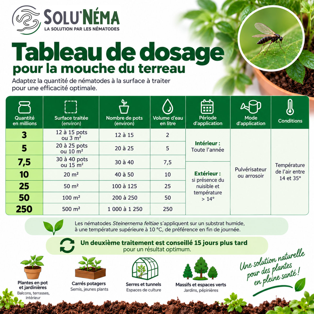 Mouches des terreaux - Nématodes Steinernema Feltiae (SF)