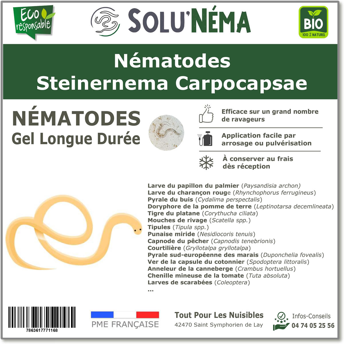 SOLUNEMA - Nématodes Steinernema Carpocapsae (SC)