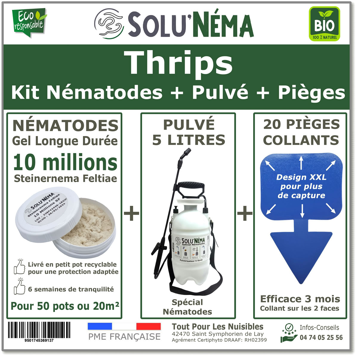 nematodes