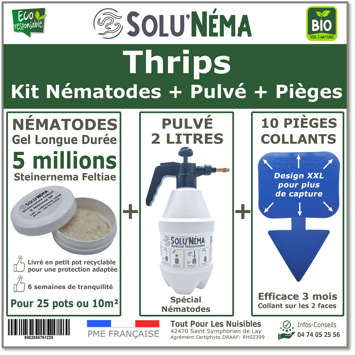 nematodes