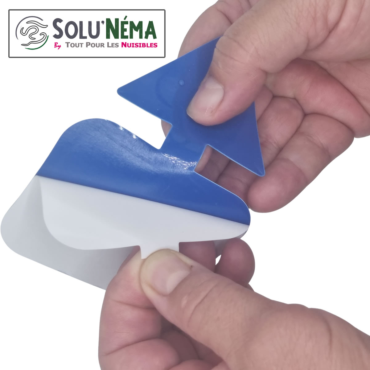 Piège collant bleu à insectes : thrip, mouche du terreau, moucheron pour plante en pot
