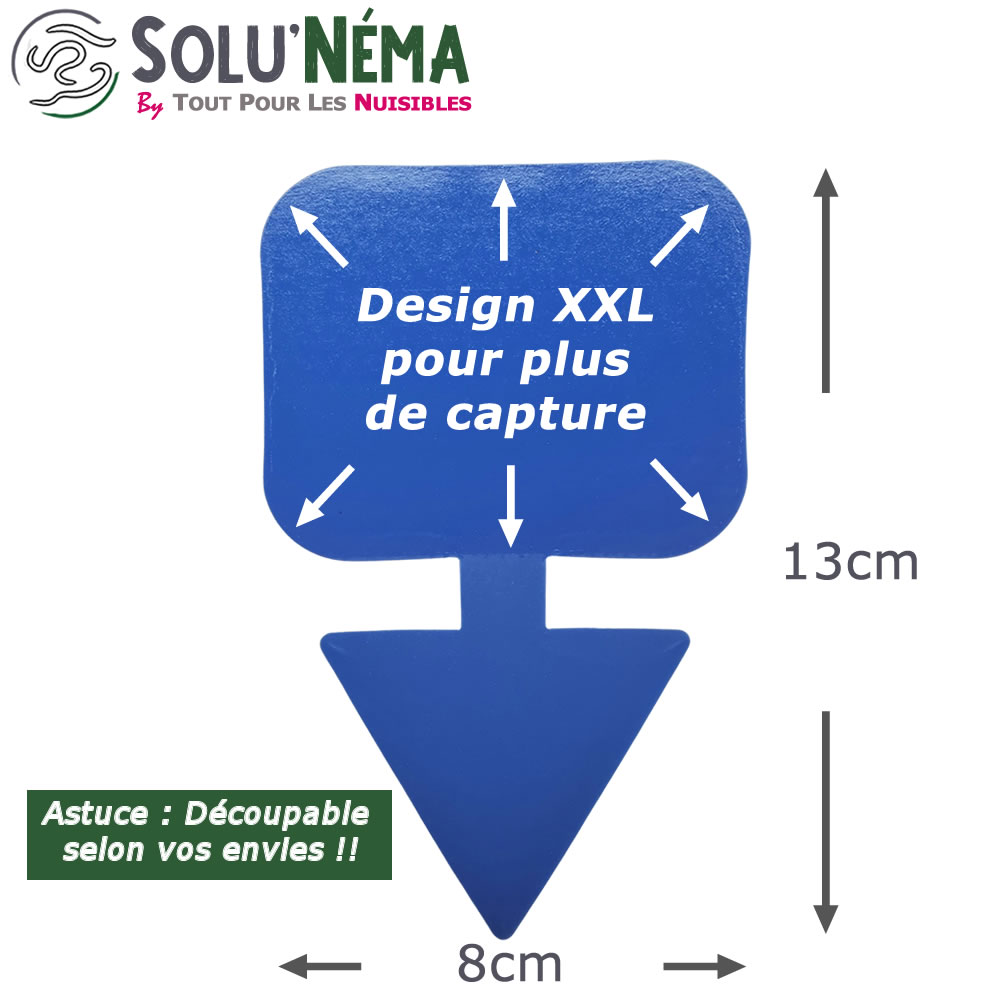 SOLUNEMA - Thrips - Nématodes  (SF)