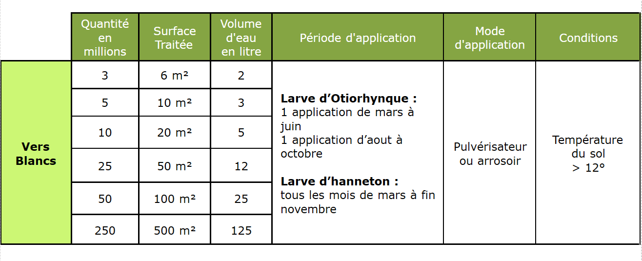 SOLUNEMA - Traitement contre les vers blancs (otiorhynque,hanneton) - Nématodes (HB)