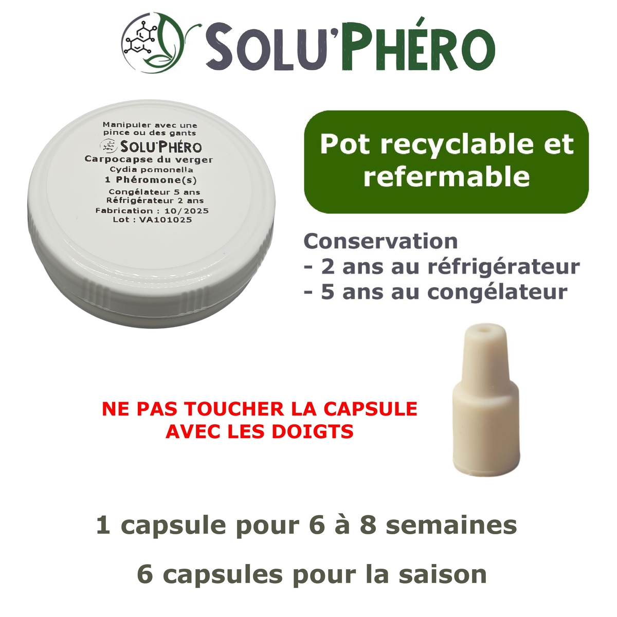 Phéromone pour attirer et capturer le papillon mâle du carpocapse du verger, Cydia pomonella