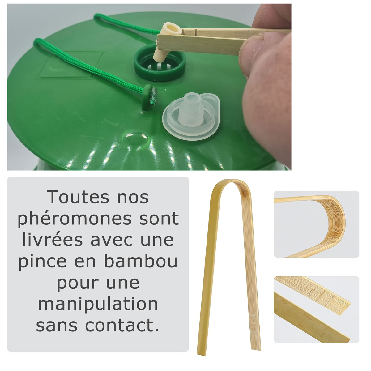 Phéromone pour attirer et capturer le papillon mâle de la processionnaire chêne
