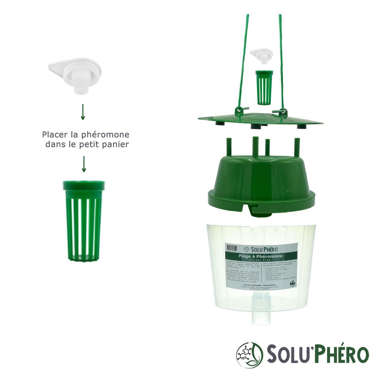 SOLUPHERO - Piège Professionnel à Phéromone Funnel Trap pour papillon (pyrale du buis, processionnaire ...) sans phéromone