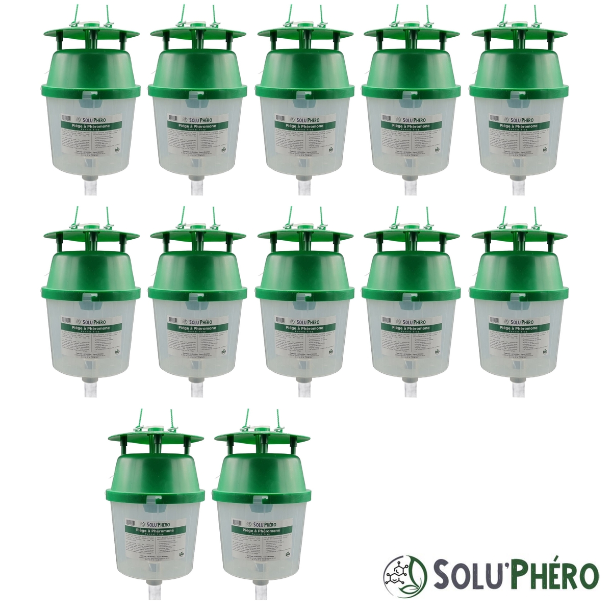 SOLUPHERO - Piège Professionnel à Phéromone Funnel Trap pour papillon (pyrale du buis, processionnaire ...) sans phéromone
