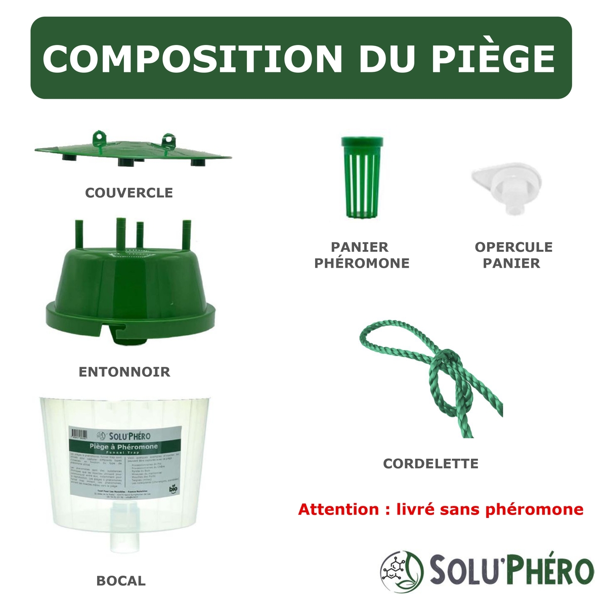 SOLUPHERO - Piège Professionnel à Phéromone Funnel Trap pour papillon (pyrale du buis, processionnaire ...) sans phéromone