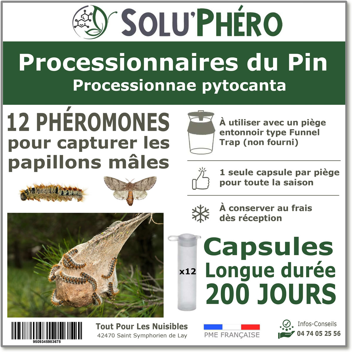 Phéromone pour attirer et capturer le papillon mâle de la processionnaire du pin 200 jours, processsionnae Thaumetopoea pityocampa