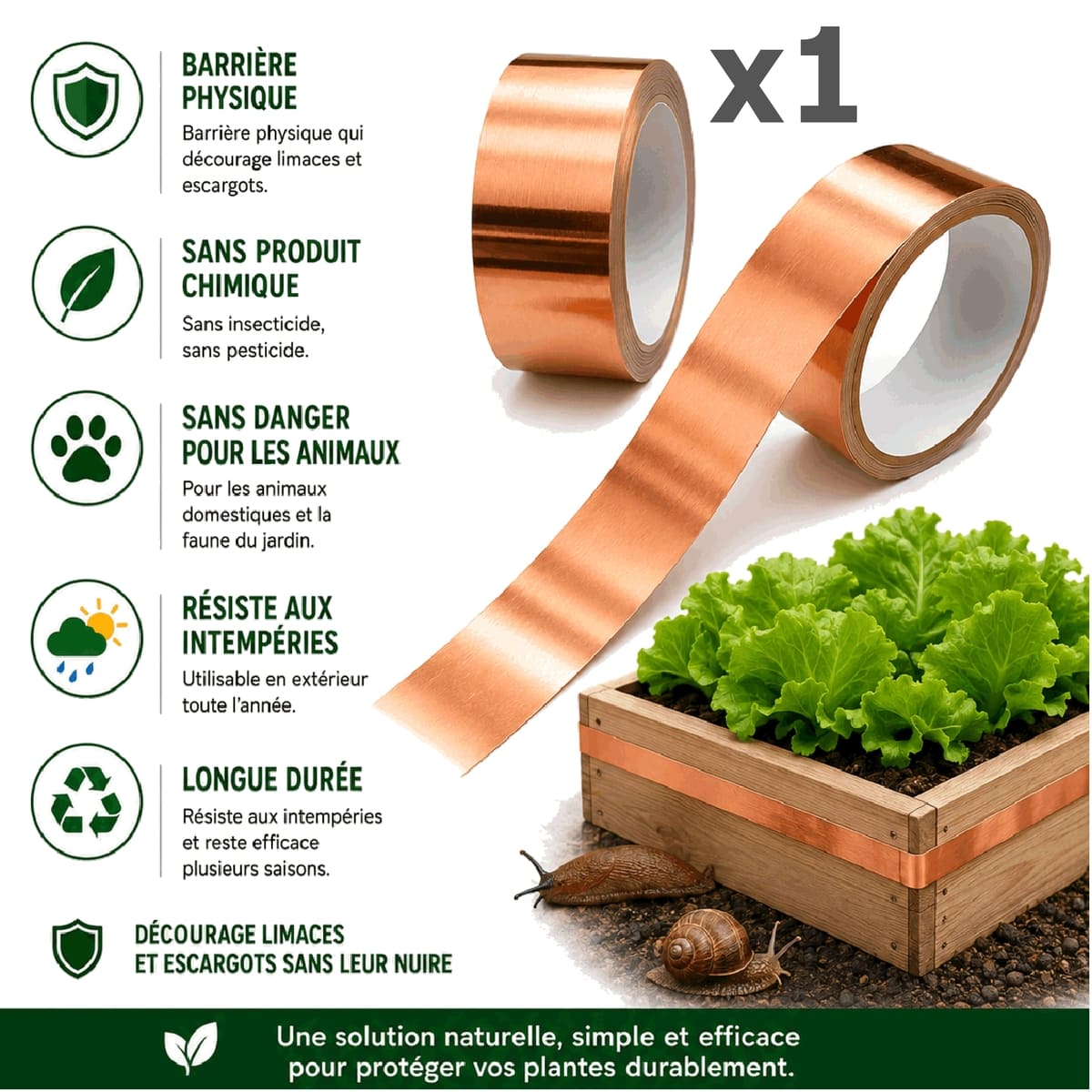 Ruban de Cuivre Anti-Limaces et Escargots – Barrière Physique pour Salades et Jeunes Plants, SOLU