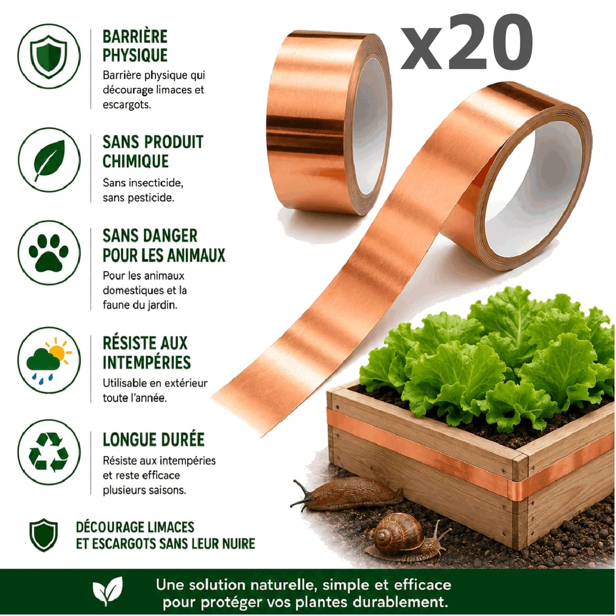 Ruban de Cuivre Anti-Limaces et Escargots – Barrière Physique pour Salades et Jeunes Plants, SOLU