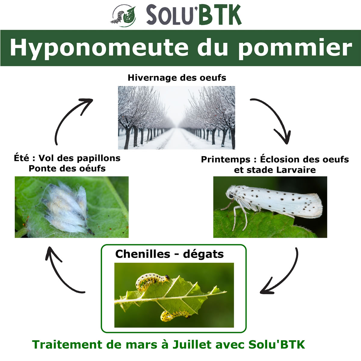 Insecticide BTK de biocontrôle contre l