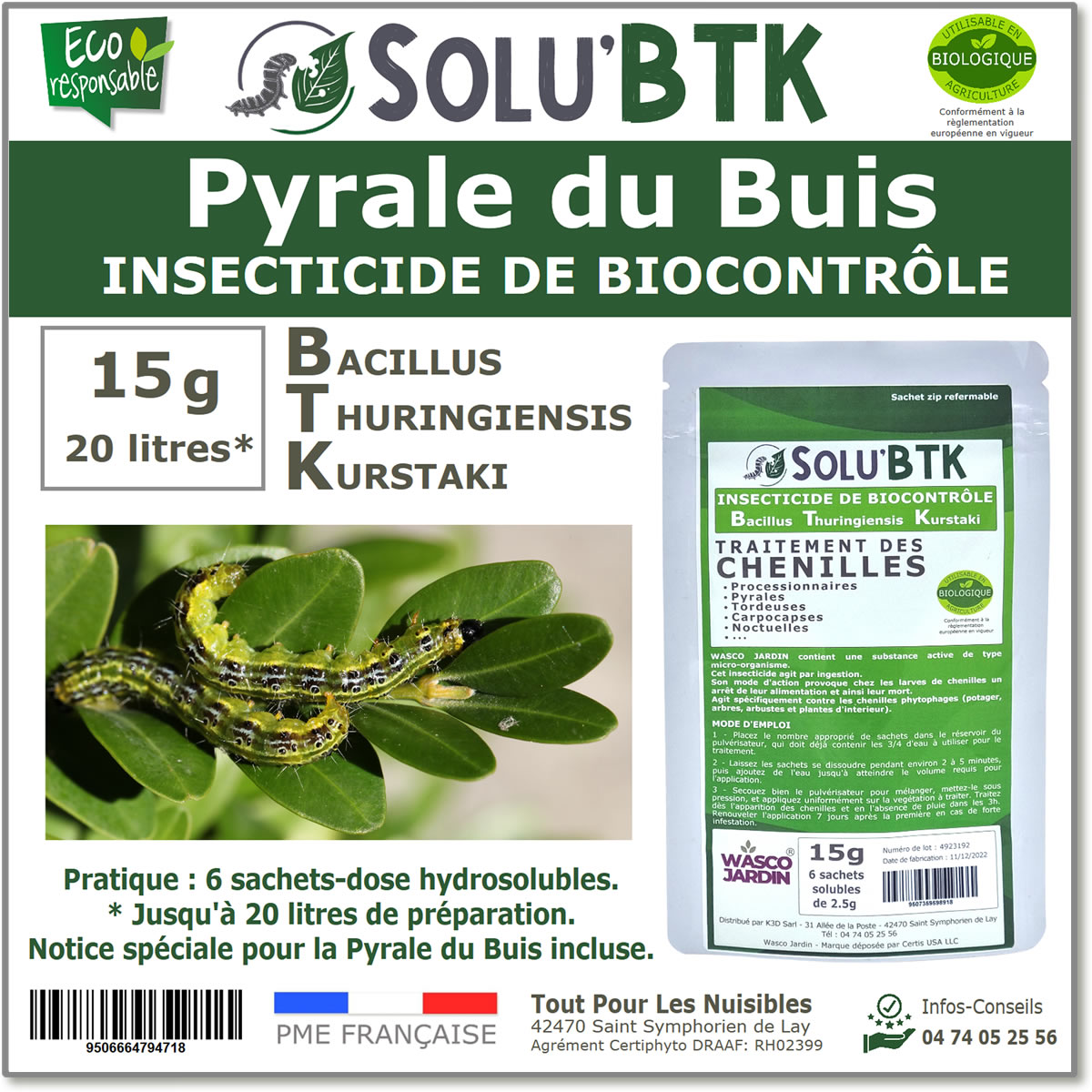 pyrale-buis