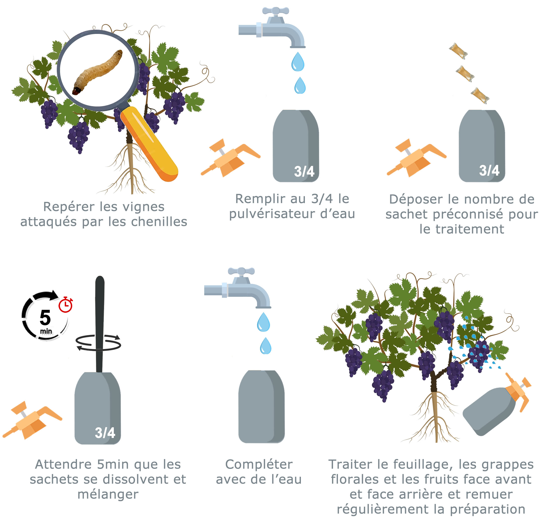 Insecticide BTK de biocontrôle contre les tordeuses des vignes (Eudémis, Cochylis, Eulia), SOLU