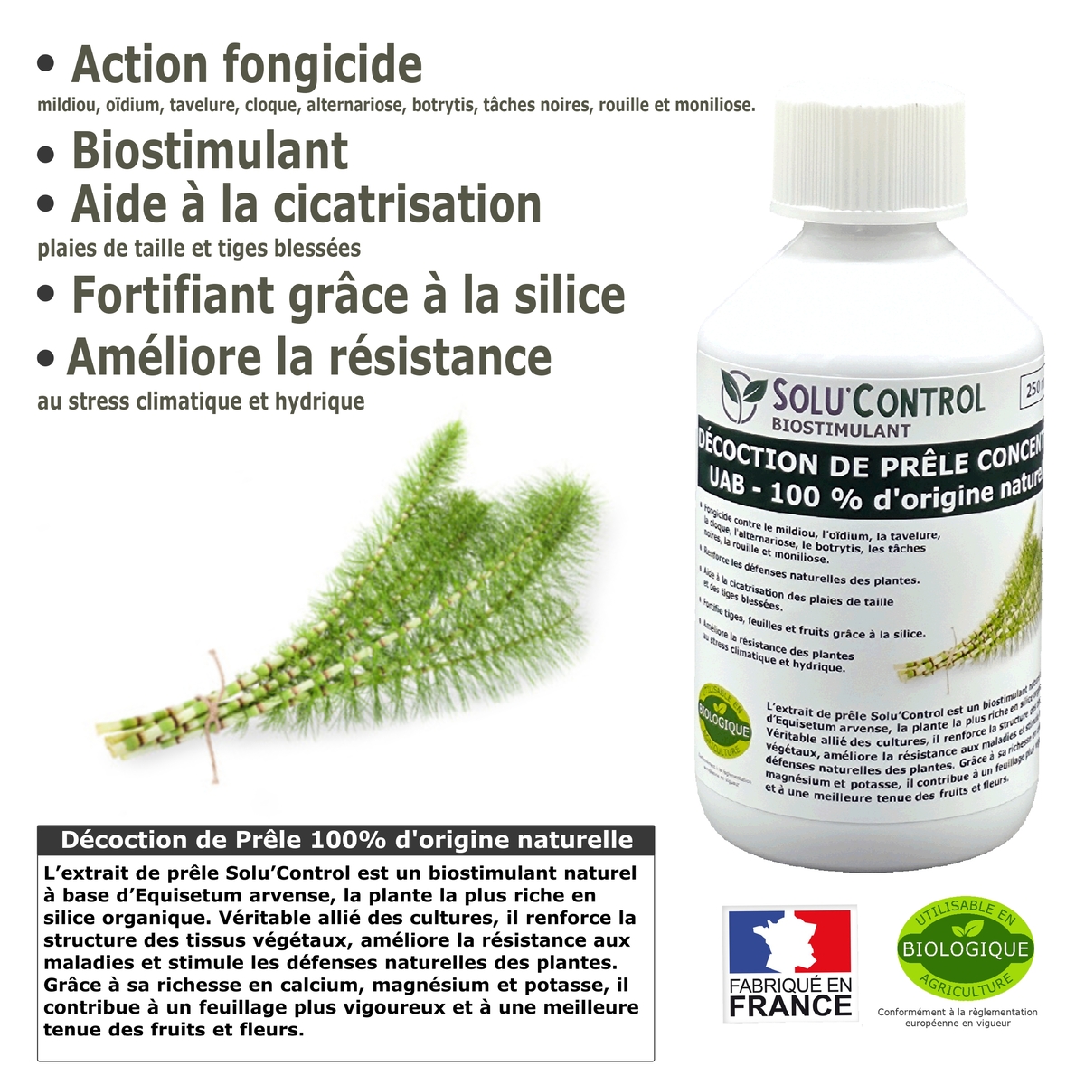 Décoction de Prêle Solu’Control – Concentré UAB – Action Fongicide, Biostimulant, Aide à la Cicatrisation – Fortifiant à la Silice