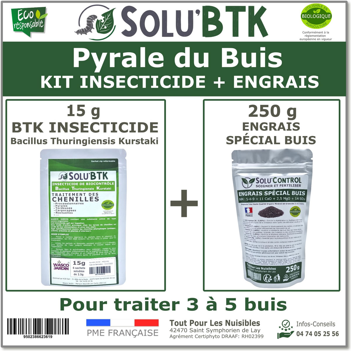 pyrale-buis