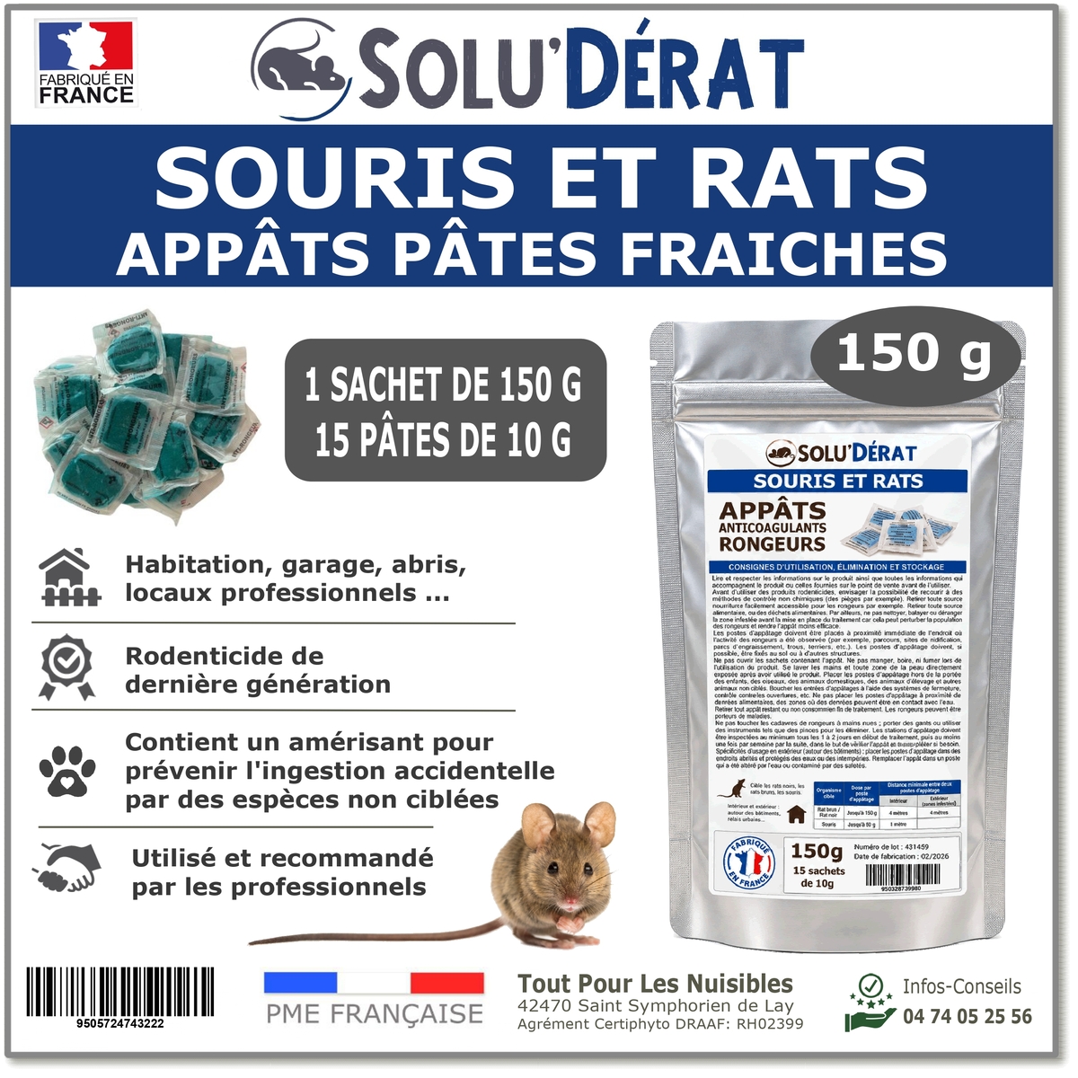 souris-rats-et-autres-rongeurs