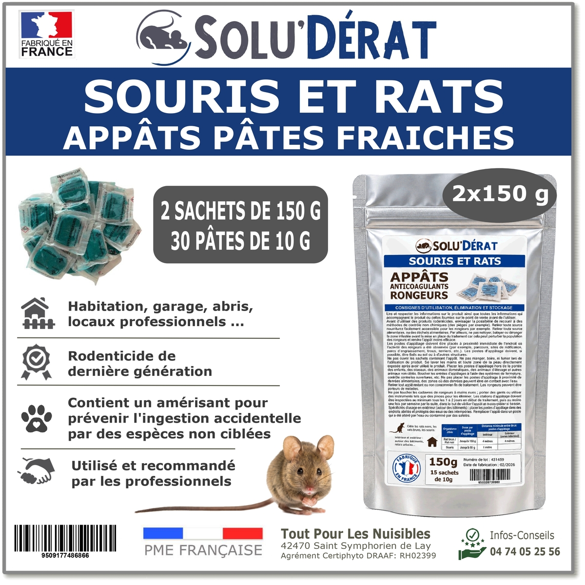 souris-rats-et-autres-rongeurs