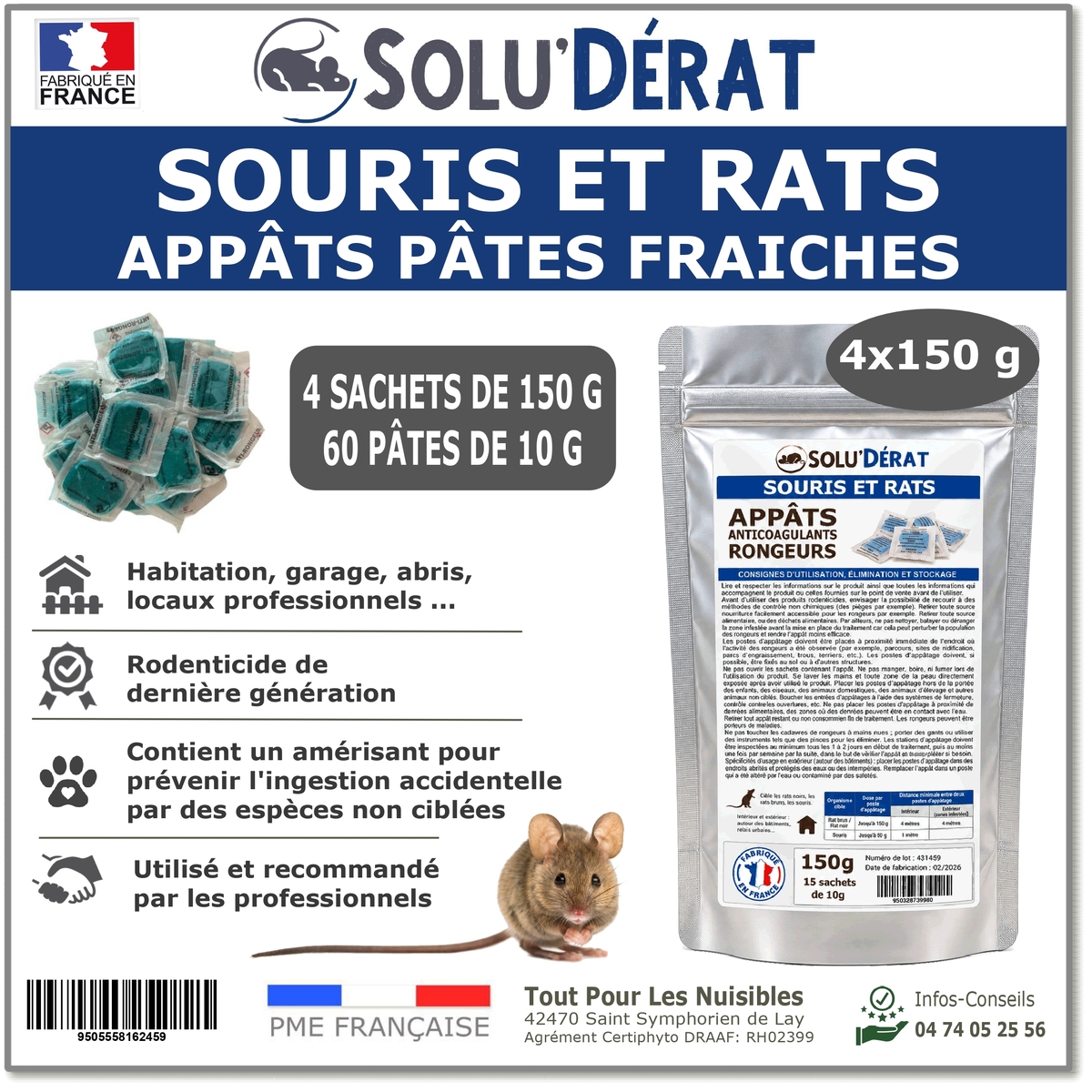 souris-rats-et-autres-rongeurs